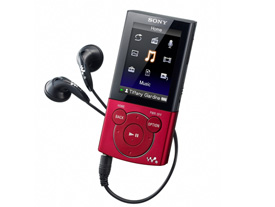 Sony Walkman E-Serie 32GB Zwart