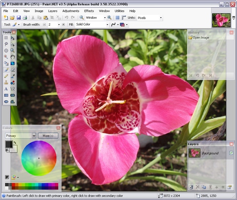 Paint.NET 3.5 build 3522 alpha screenshot (481 pix)