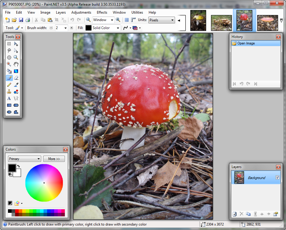 Paint.NET 3.5 alpha build 3533 screenshot