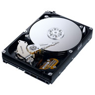 Samsung SpinPoint T166 500GB