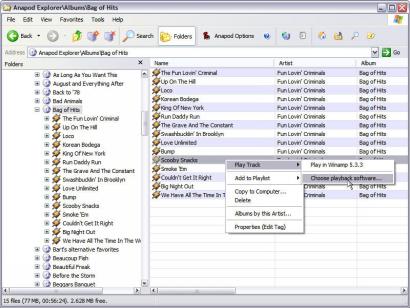 Anapod Explorer screenshot (410 pix)