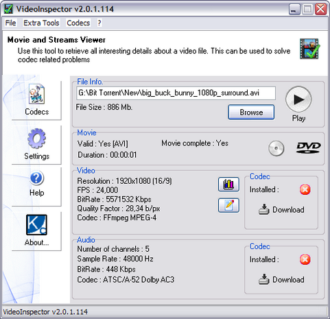 VideoInspector 2.0.0.114 screenshot (481 pix)