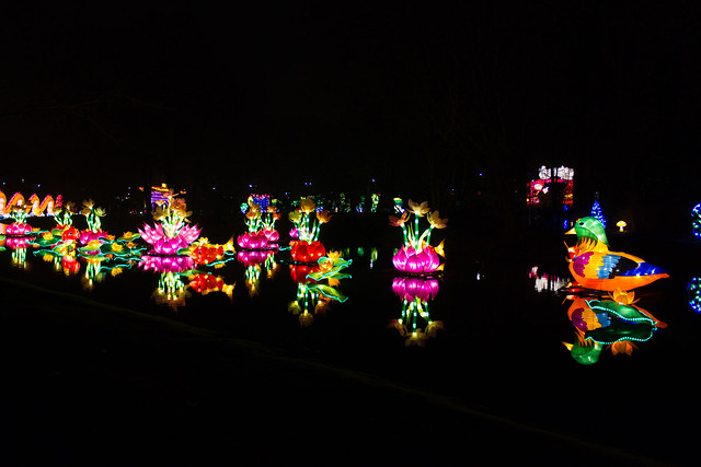 Afbeeldingslocatie: http://farm9.staticflickr.com/8506/8352777475_a20c9a0798_z.jpg