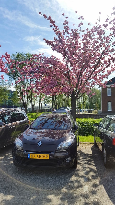 Afbeeldingslocatie: https://tweakers.net/ext/f/03NwPVkWMgAMqjbJzKsJROAD/full.jpg