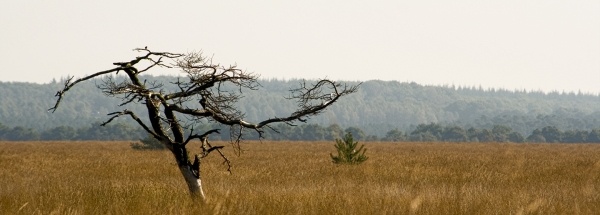 Afbeeldingslocatie: http://tweakers.net/ext/f/04e109f92ef0ba1801b74964d57abfb3/full.jpg
