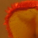 http://tweakers.net/ext/f/09uJ6pb96wt5D880Qv1YjIt7/full.jpg http://tweakers.net/ext/f/09uJ6pb96wt5D880Qv1YjIt7/full.jpg