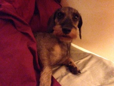 Afbeeldingslocatie: http://tweakers.net/ext/f/0M0DZrpwC0m1wwsKHi6AjZMx/medium.jpg