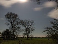 Afbeeldingslocatie: http://tweakers.net/ext/f/0RAjaZ4Xet3hSTAvXOa4vqzc/medium.jpg