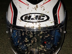 Afbeeldingslocatie: https://tweakers.net/ext/f/0XPd2RTXT4SLXCeAD6PJgu5a/medium.jpg