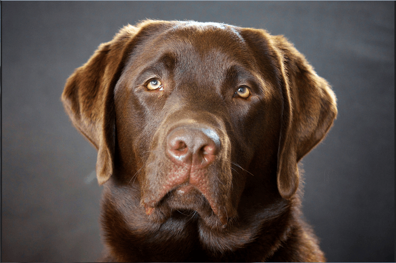 Afbeeldingslocatie: http://tweakers.net/ext/f/0Xg62bvFzw1saee63EZKJMXm/full.png