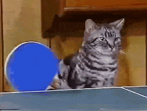 Afbeeldingslocatie: http://tweakers.net/ext/f/0YDrADhOAGsz4sde0ew2VlgV/full.gif
