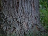 D40/ 55-200 mm VR; 1/200s; f/6,3; ISO-400; VR; AF; 200mm