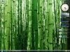 Afbeeldingslocatie: http://tweakers.net/ext/f/0a617d5343afccf92c6729445e2db767/thumb.jpg