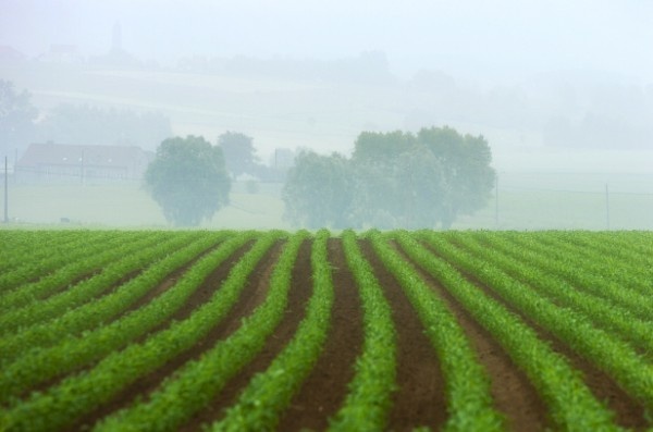 Afbeeldingslocatie: http://tweakers.net/ext/f/0e5a2b7cd3fdc6cedcd5bf3723990900/full.jpg