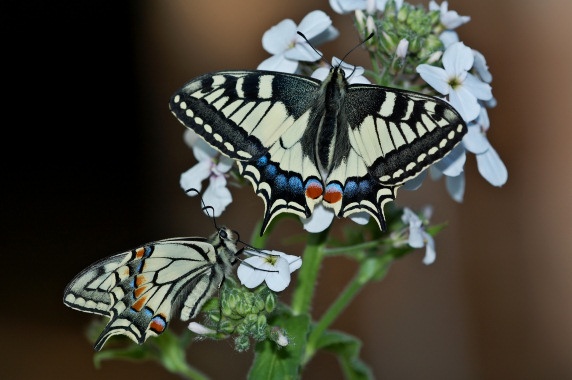 Afbeeldingslocatie: http://tweakers.net/ext/f/0fd58b22afb9f31ee139dd56a0cae026/full.jpg