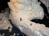 Afbeeldingslocatie: http://tweakers.net/ext/f/0l2j739VBfCZeVrffOy5Cfbx/thumb.jpg