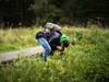 Afbeeldingslocatie: https://tweakers.net/ext/f/1MD7jGHfCkyEpvgyuuBi0QE2/thumb.jpg