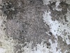 Afbeeldingslocatie: https://tweakers.net/ext/f/1NtZrW4r4b2KtcTz81gIUzhH/thumb.jpg