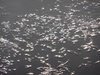 Afbeeldingslocatie: https://tweakers.net/ext/f/1VJRU7pm6S0WrbsXQ1fqIh7t/thumb.jpg