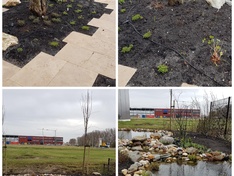 Afbeeldingslocatie: https://tweakers.net/ext/f/24JNCnp0bjmx2iSxE0KaJ7Vo/medium.jpg