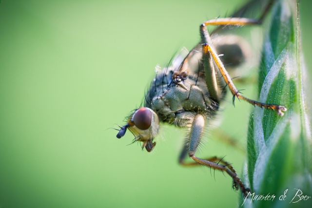 Preparing For Takeoff