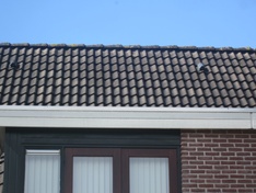 ventilatie kapje