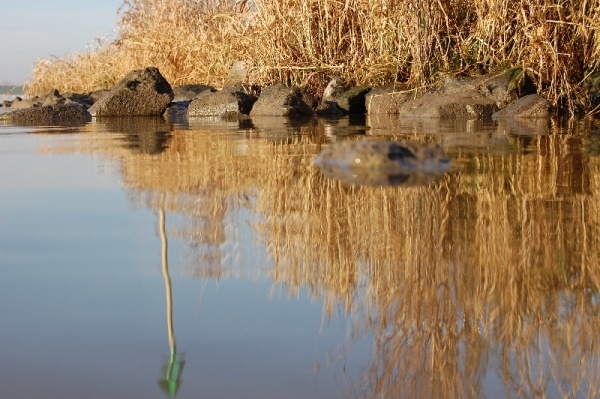 Afbeeldingslocatie: http://tweakers.net/ext/f/2Yc95RmaFOl3U9k4xtBwLr7C/full.jpg