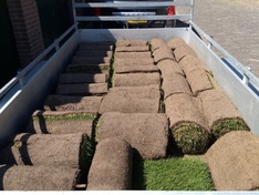 Afbeeldingslocatie: https://tweakers.net/ext/f/2xX4u855CZZYv6sbcgrT0zUs/medium.jpg