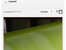 Afbeeldingslocatie: https://tweakers.net/ext/f/2z5mzzMYSKErCNaWC8jy2p3q/medium.png