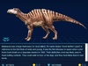 Maiasaura Maiasaura