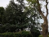 Afbeeldingslocatie: https://tweakers.net/ext/f/3JUU3WD67NEcCHgdVD5vJrEZ/thumb.jpg