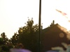 Tegn de zon...;116mm;F/8;ISO-200; op D40 / 55-200 mm VR