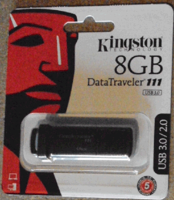 Kingston Datatraveler 111