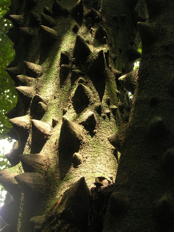 Afbeeldingslocatie: http://tweakers.net/ext/f/3c4c33db7793f405b9dfa1bfdaff8f2d/full.jpg