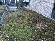 Afbeeldingslocatie: https://tweakers.net/ext/f/3yTsjVTPAKx8ItRMY3QV5Tlv/medium.jpg