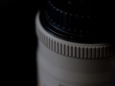Canon 100 mm. Macro f/2.8 non-IS non-L USM