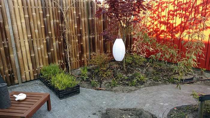 Afbeeldingslocatie: https://tweakers.net/ext/f/4O81Jj6qe7VKRrHWpph1HcD5/full.jpg