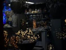 fujian cctv lens4