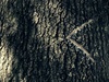 Afbeeldingslocatie: https://tweakers.net/ext/f/4ZjOEBpZqsm2hdMHT9FOf83F/thumb.jpg