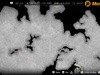 Afbeeldingslocatie: https://tweakers.net/ext/f/4px1CgIJyzjNTouHb6Zeo9dU/thumb.jpg