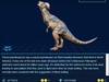 Pachycephalosaurus Pachycephalosaurus