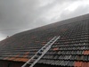 Afbeeldingslocatie: https://tweakers.net/ext/f/50yYKSimZKQKdhhe72yE55hj/thumb.jpg