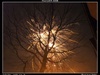 Afbeeldingslocatie: http://tweakers.net/ext/f/511c62f2f0d970380141be12ea2f25fc/thumb.jpg