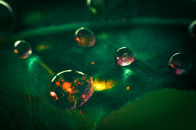Disco Drops