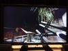 Afbeeldingslocatie: http://tweakers.net/ext/f/557w6LvtX89JdDhDYN6AXkzb/thumb.jpg