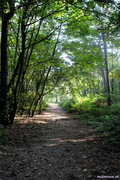 Afbeeldingslocatie: http://tweakers.net/ext/f/5873484c0bb6de5106a8fa22f1fcd314/full.jpg