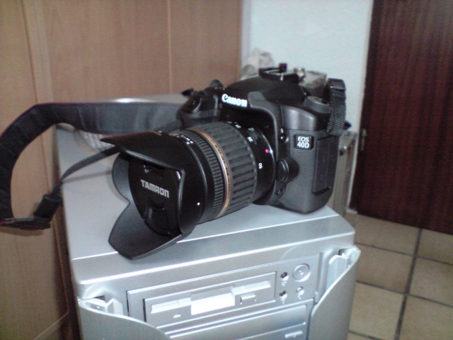 40D + Tamron 17-50 40D + Tamron 17-50