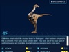 Gallimimus Gallimimus