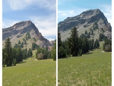 S33 VS D7000