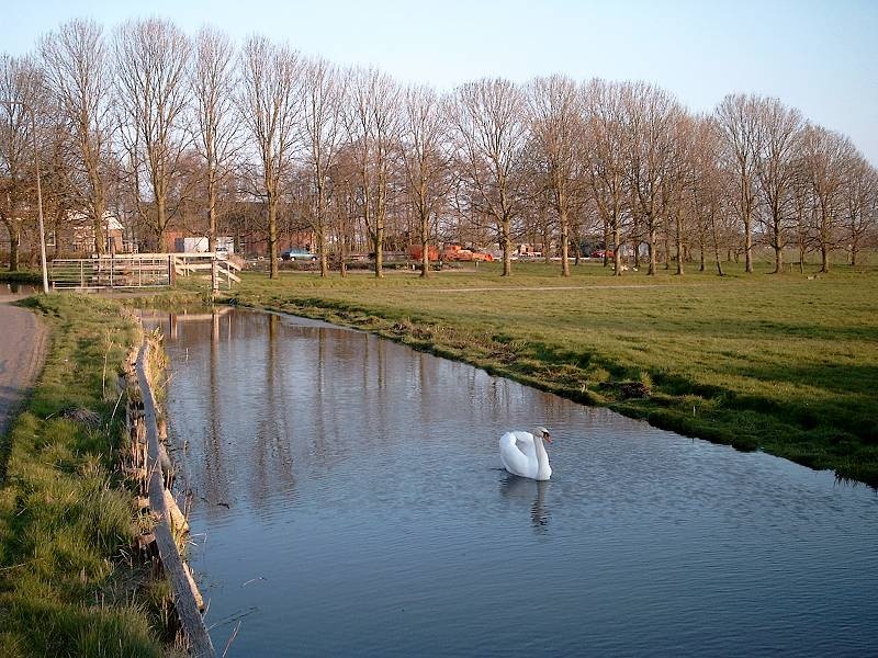 Afbeeldingslocatie: http://tweakers.net/ext/f/5gNRll446fHtUT2J2FlKXxwU/full.jpg